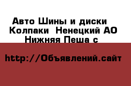 Авто Шины и диски - Колпаки. Ненецкий АО,Нижняя Пеша с.